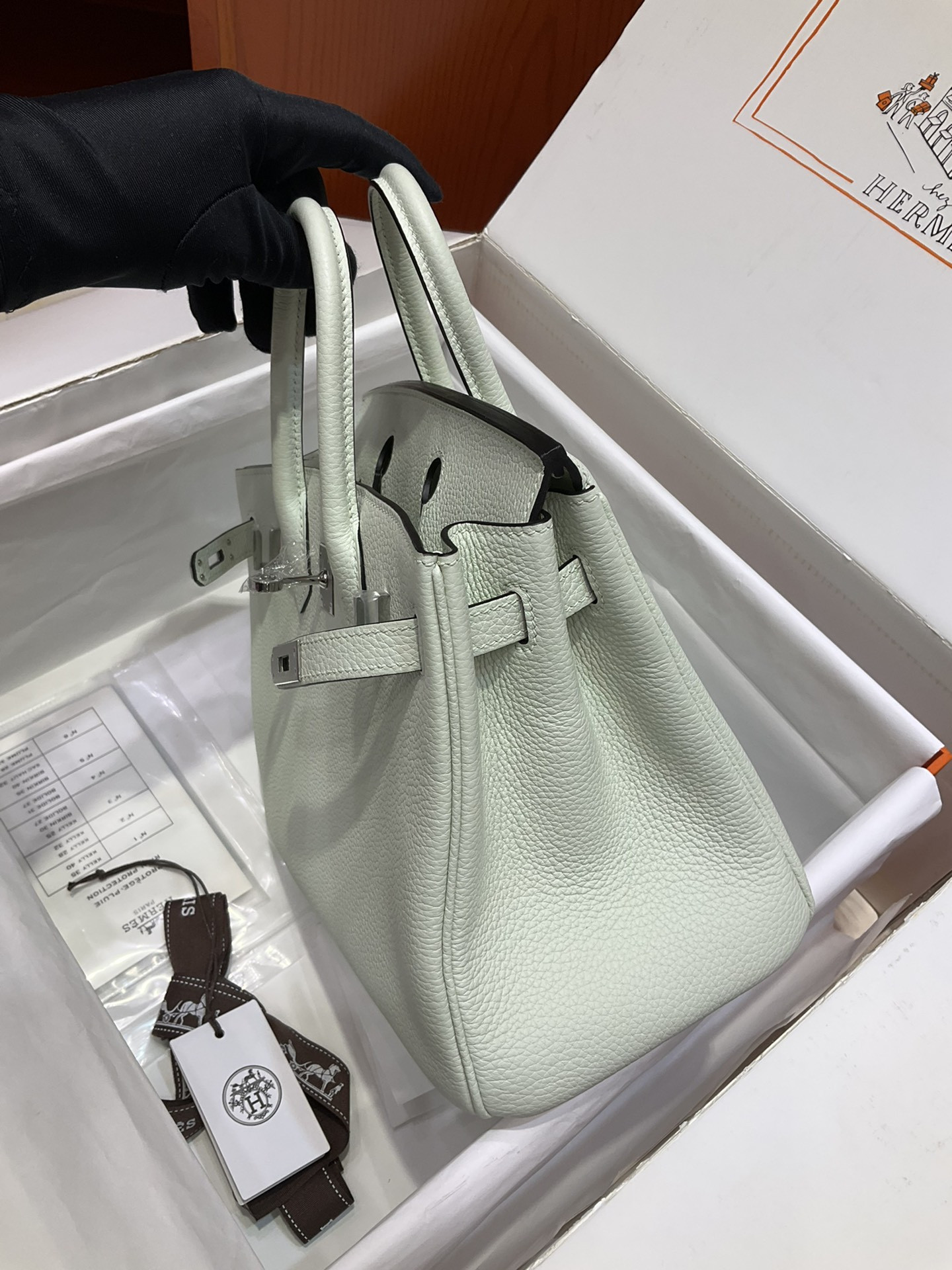 Birkin 25