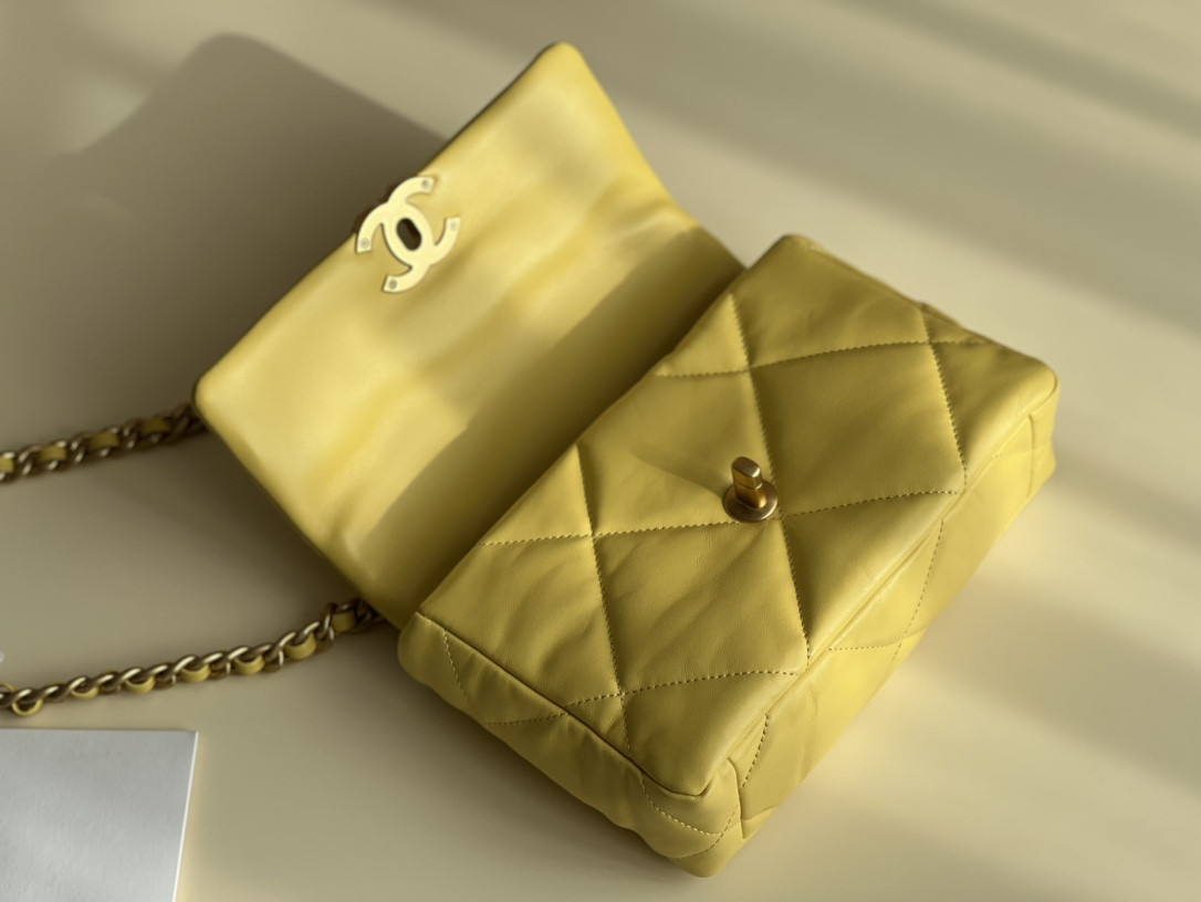 Chanle 19 Handbag