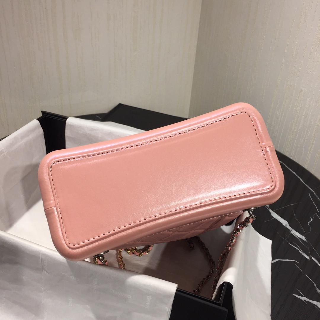 Chanle Hobo Bag