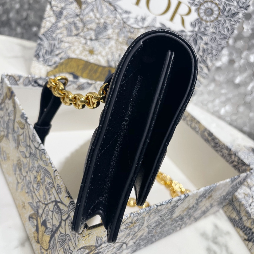 Dior Caro Pouch