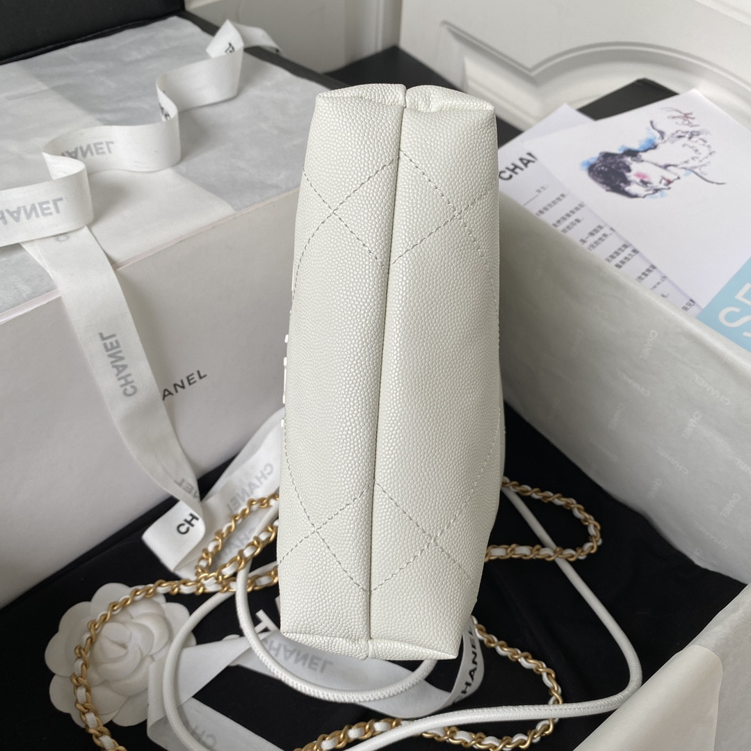 Chanle 22 Backpack Mini