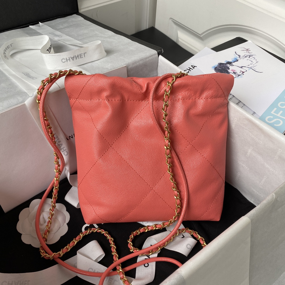 Chanle 22 Backpack Mini