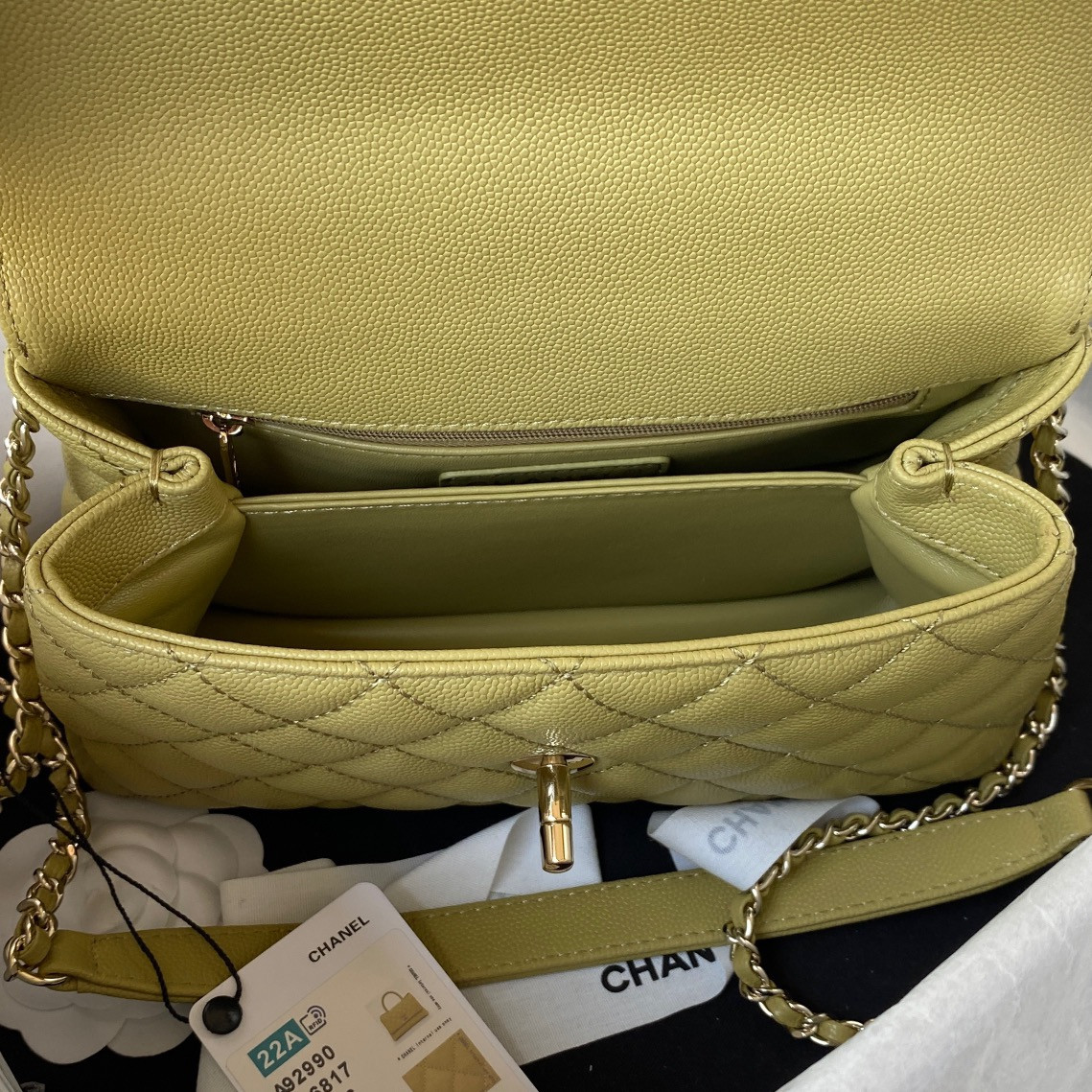 Chanle Coco Handle Bag