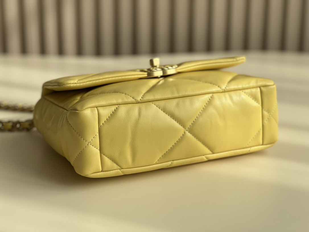 Chanle 19 Handbag