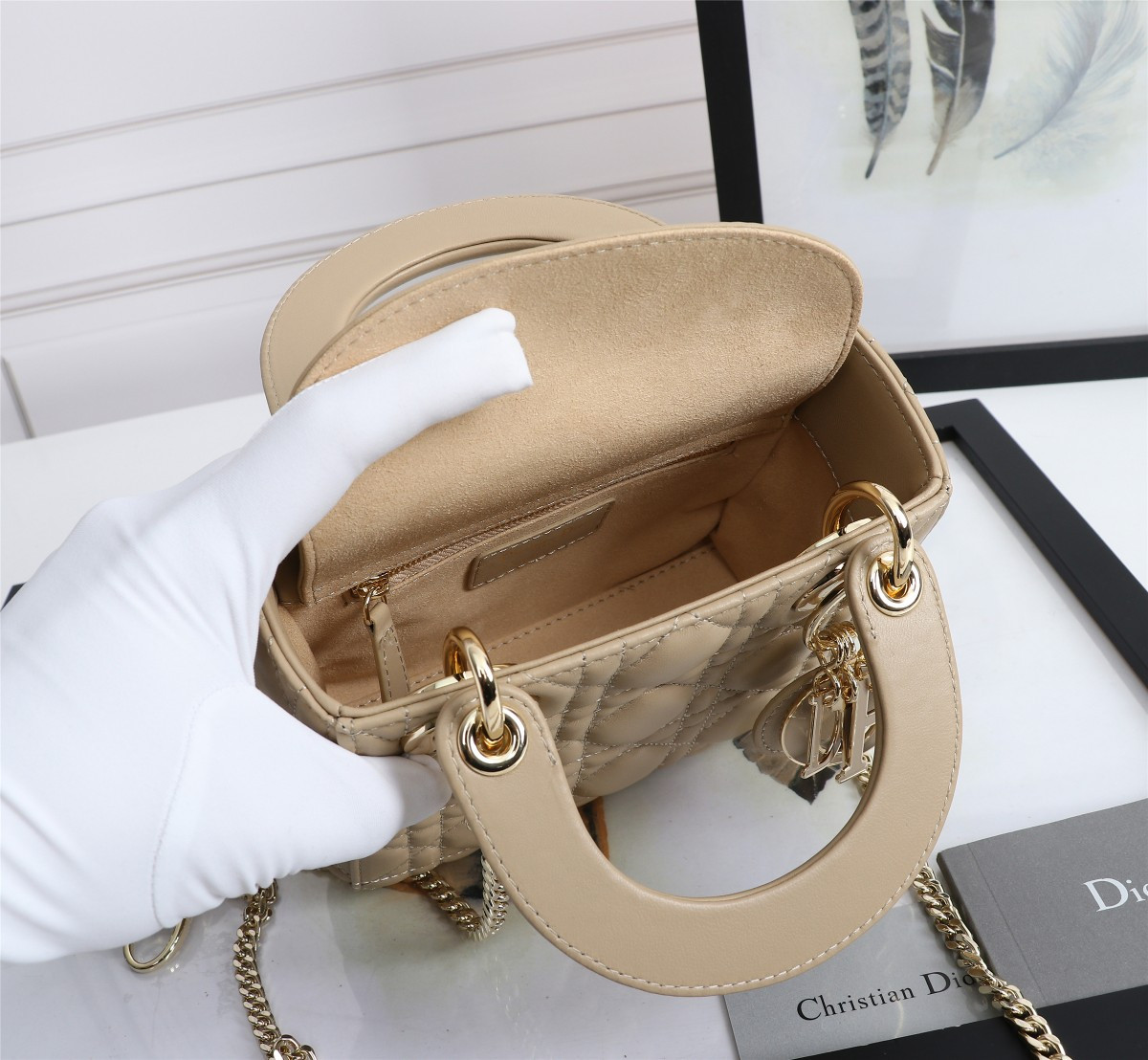 Mini Lady Dior Bag