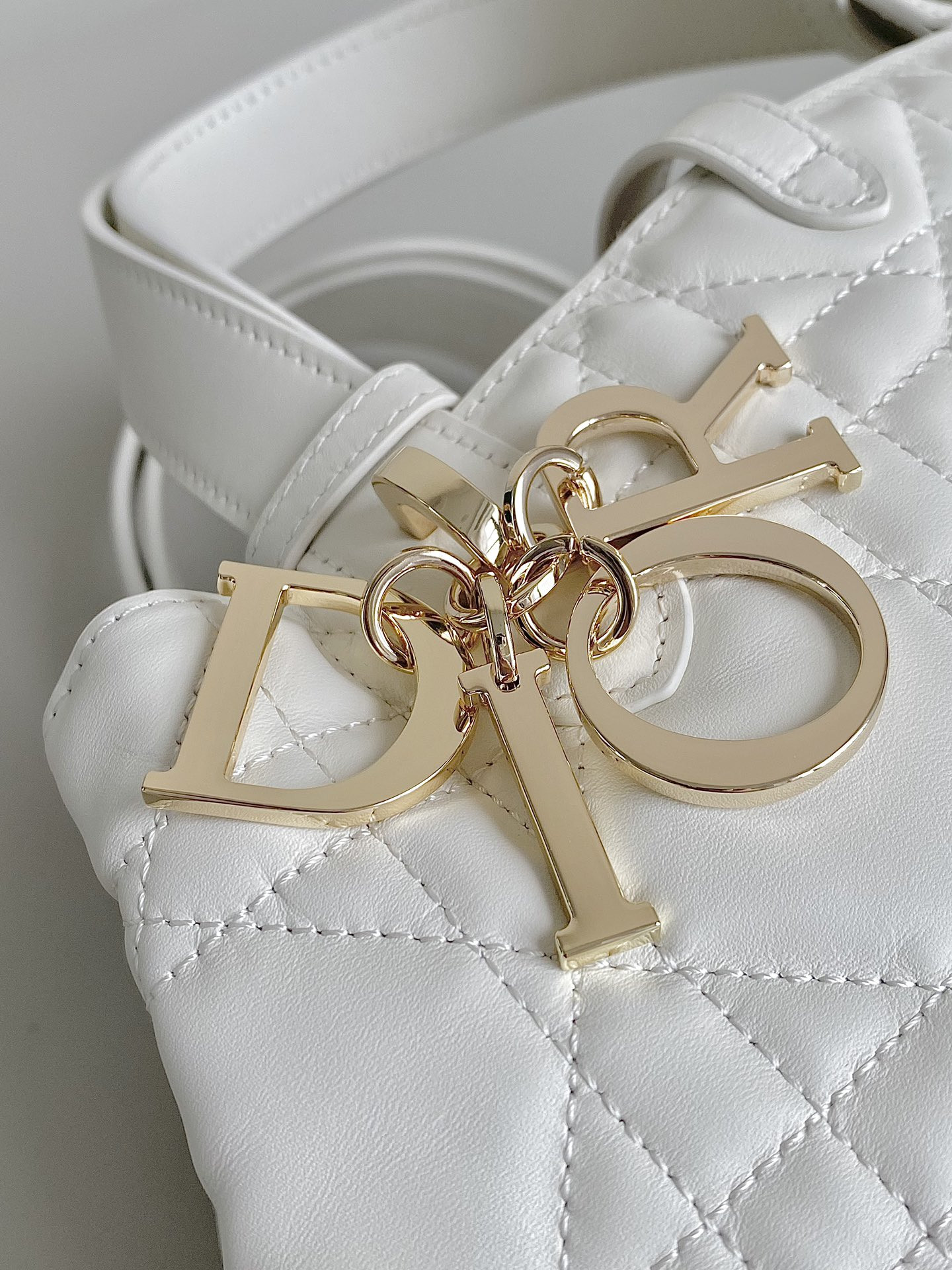 Dior Toujours Bag