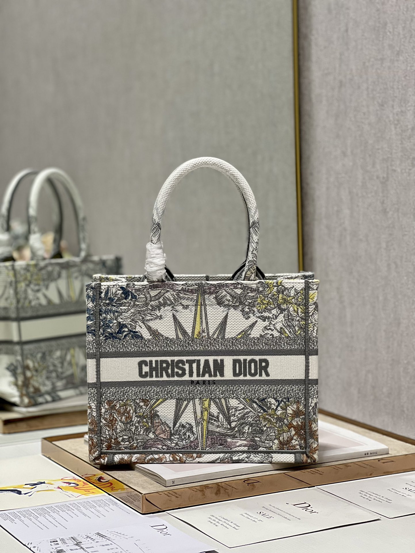 Small Dior Book Tote