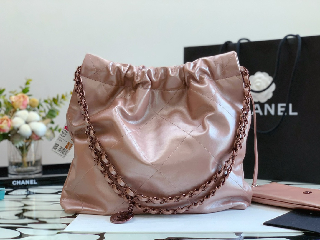 Chanle 22 Backpack