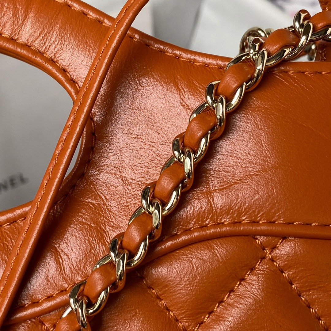 Chanle 31 Bag