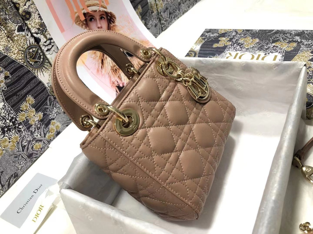 Mini Lady Dior Bag