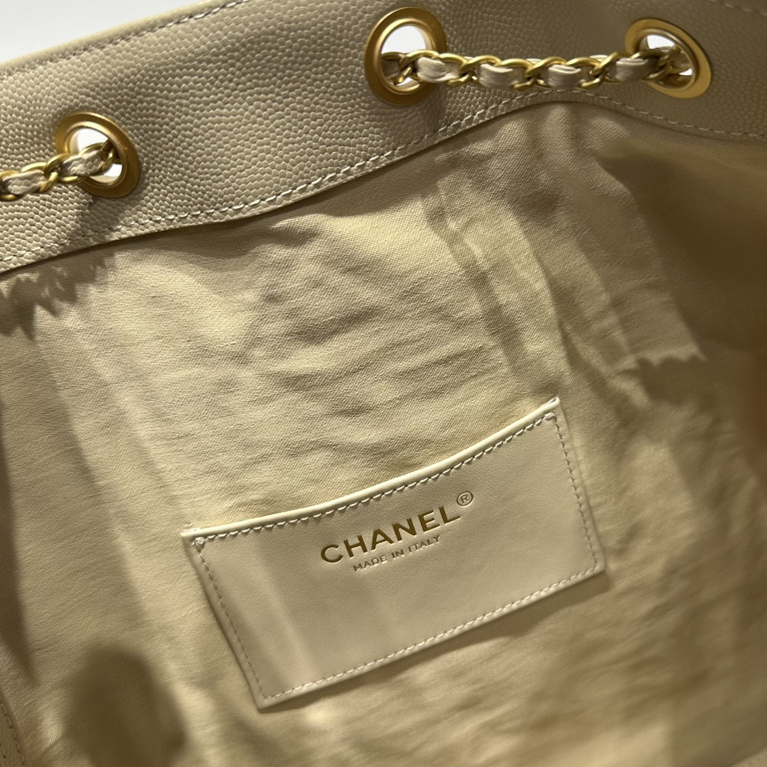 Chanel 25p Hobo Bag