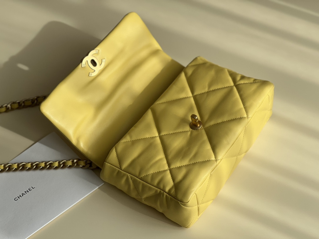 Chanle 19 Handbag