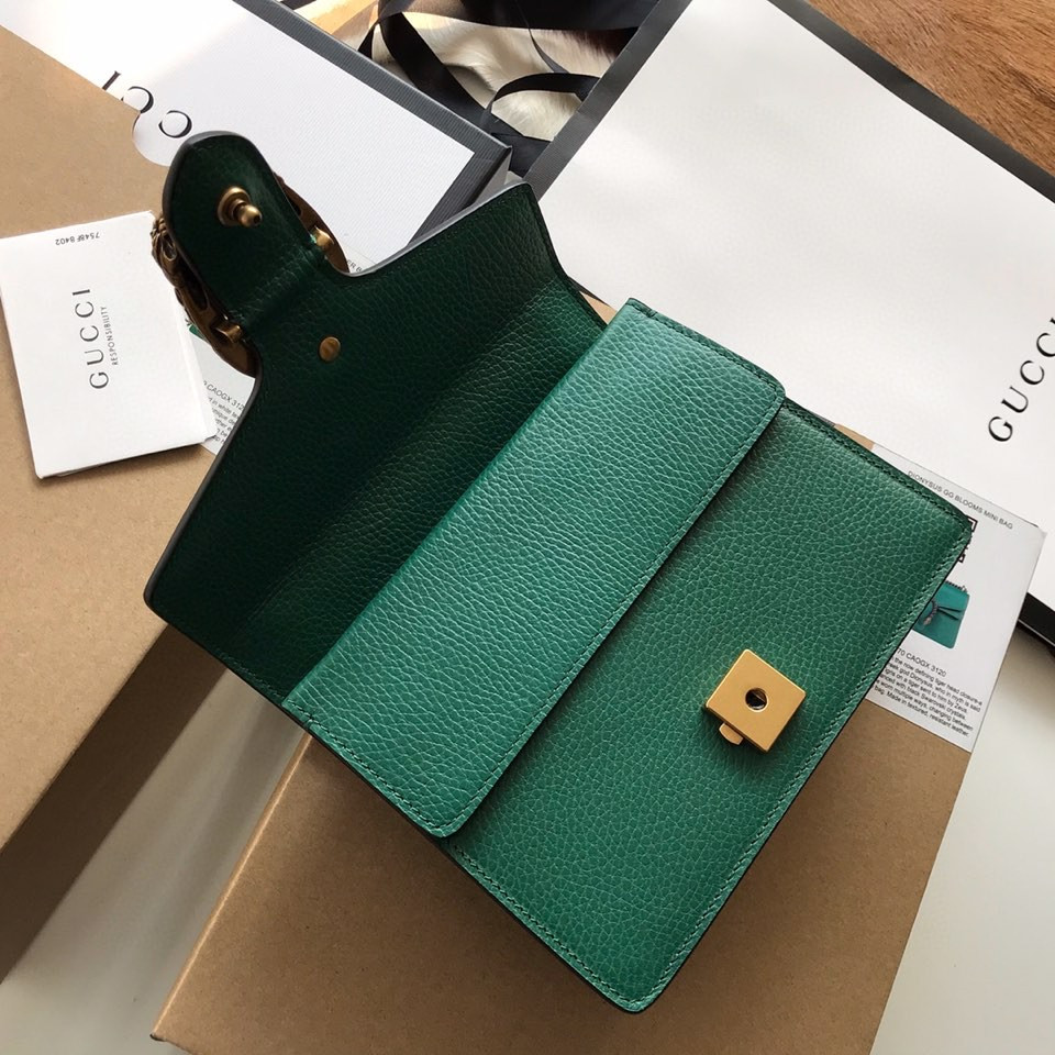 G*u*i dionysus bag