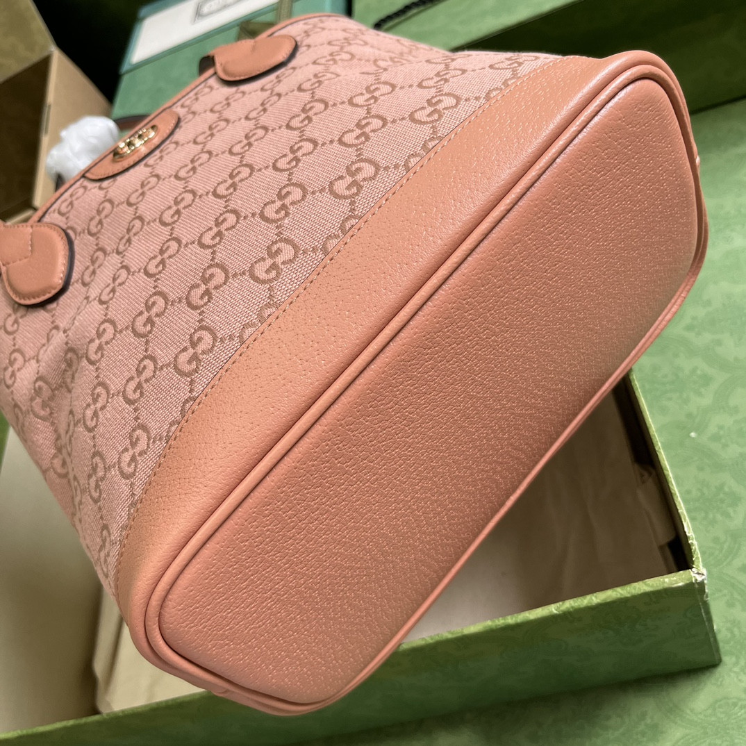 G*u*i ophidia bag