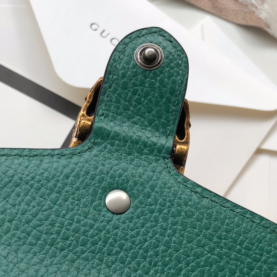 G*u*i dionysus bag