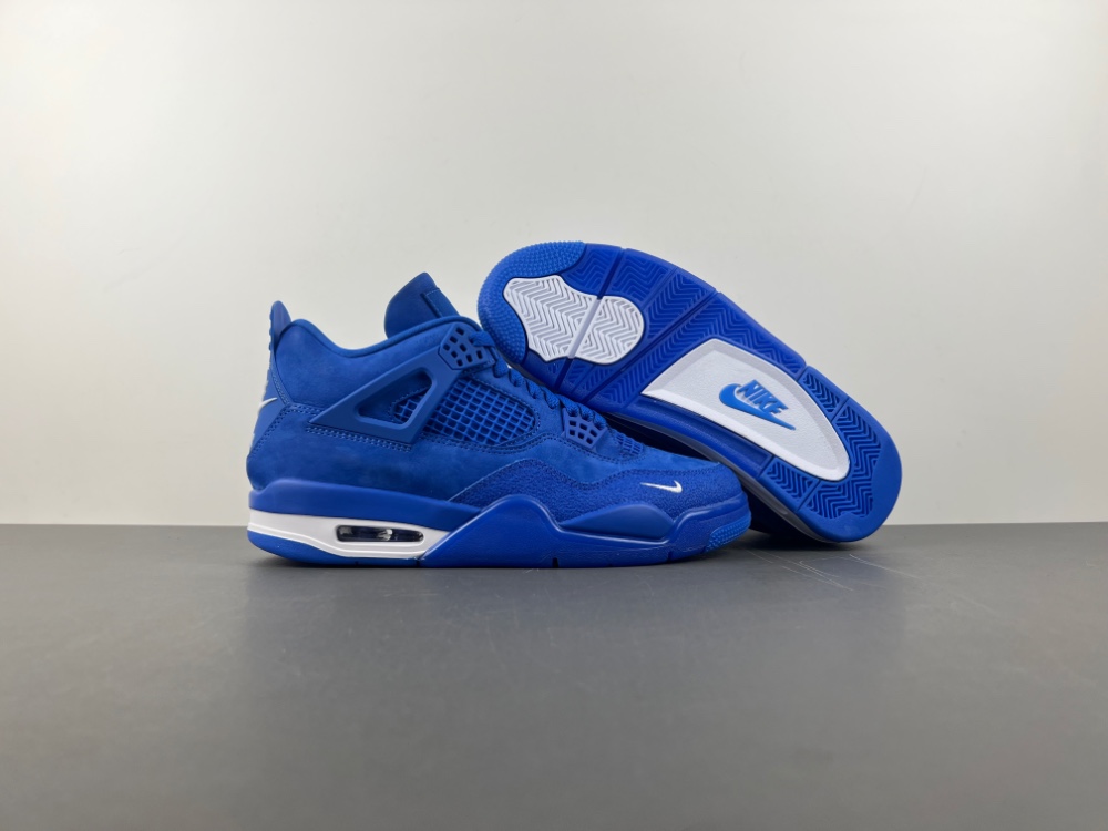 Air Jordan 4 x Nigel Sylvester HF4340-400