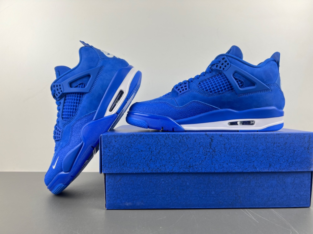 Air Jordan 4 x Nigel Sylvester HF4340-400